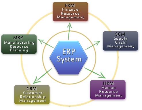 ERP, CRM, SCM, FRM, HRM, MRP Development